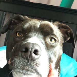 Meet your Posher, Delaney